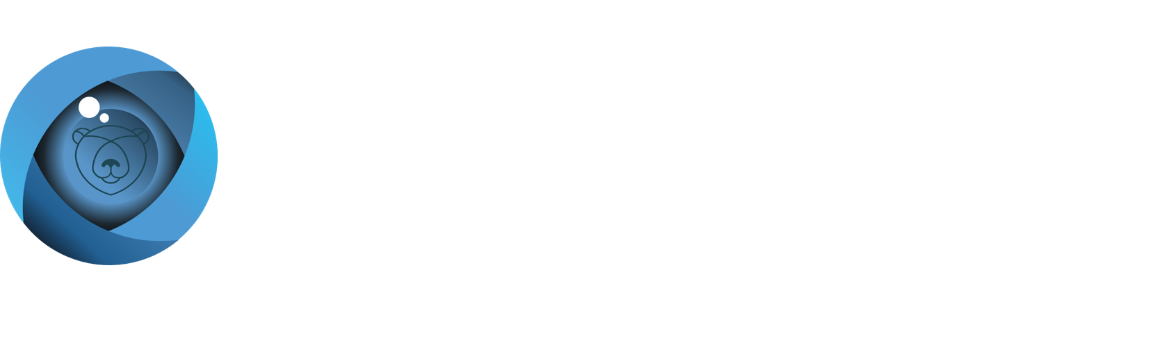 logo teddy beer photo